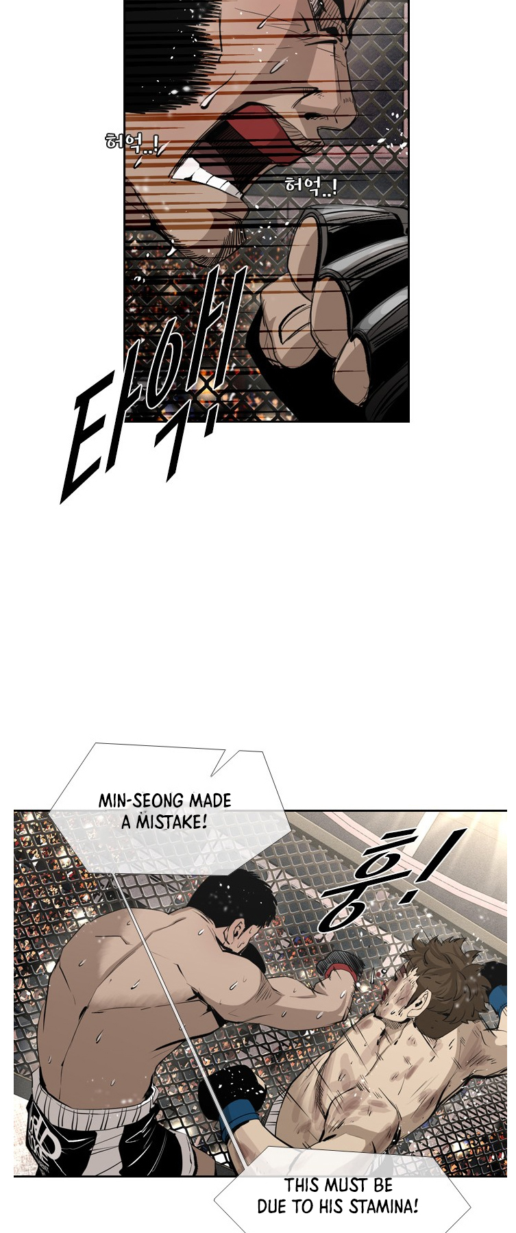 Read Shark Manga Online