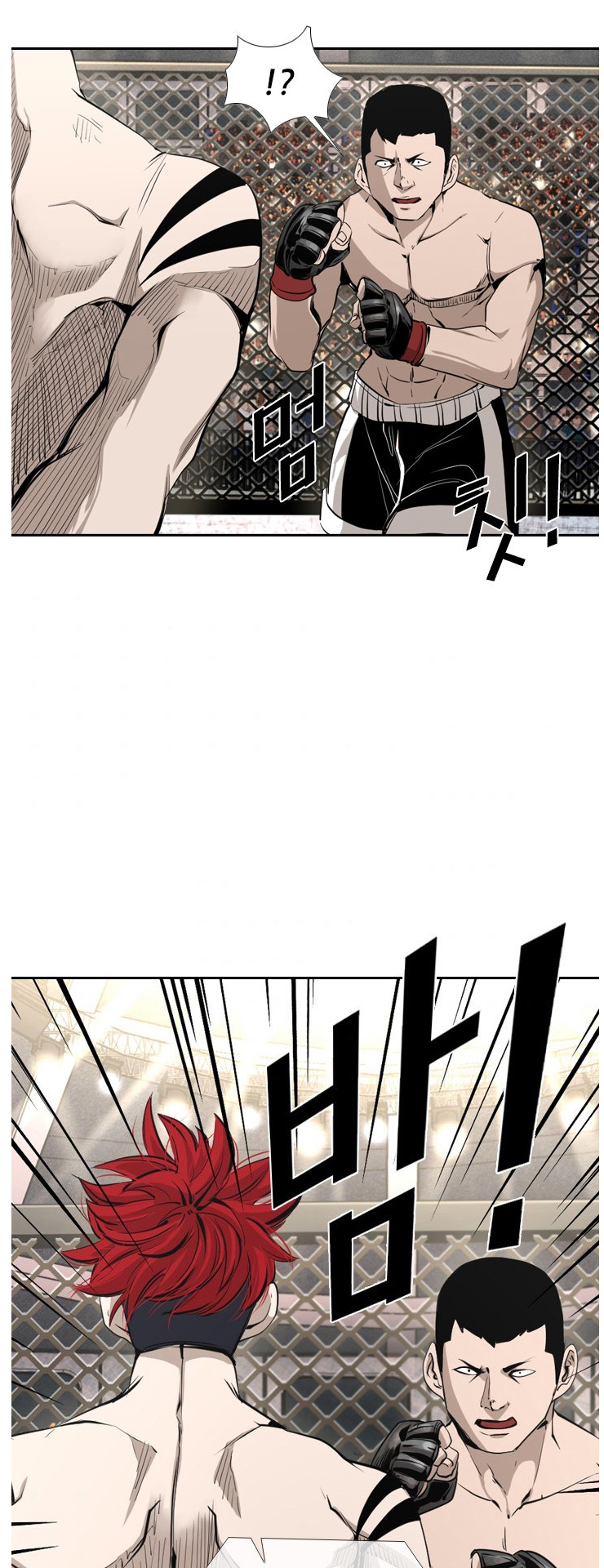 Read Shark Manga Online