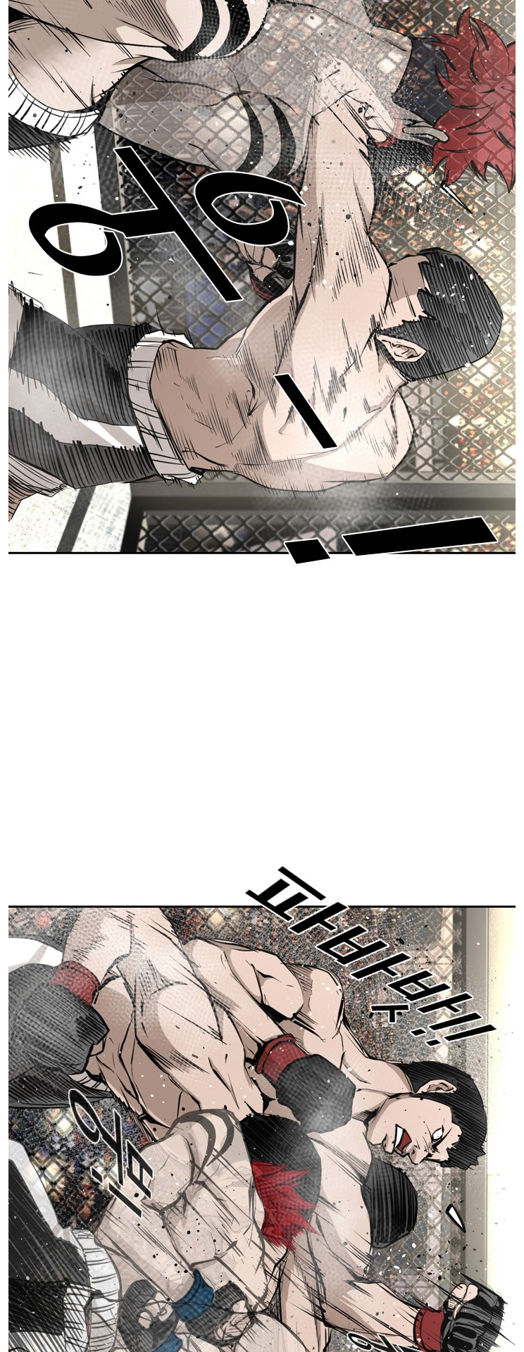 Read Shark Manga Online