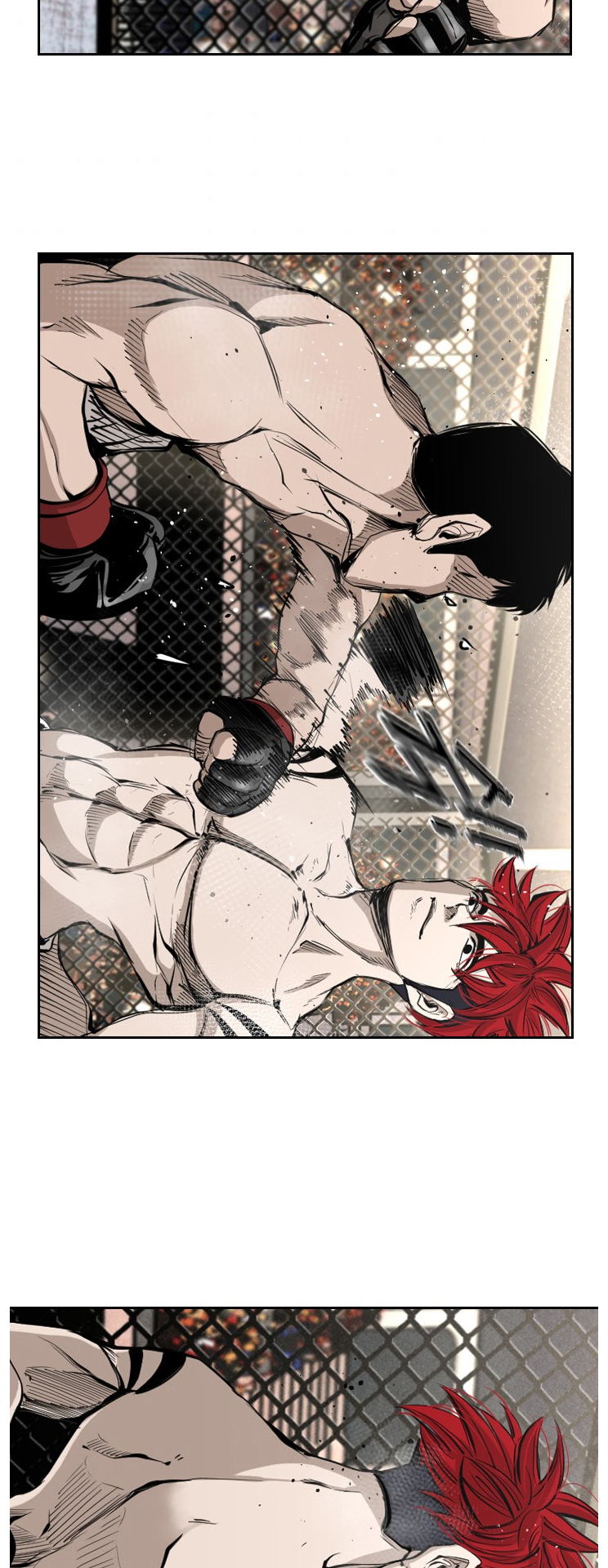 Read Shark Manga Online