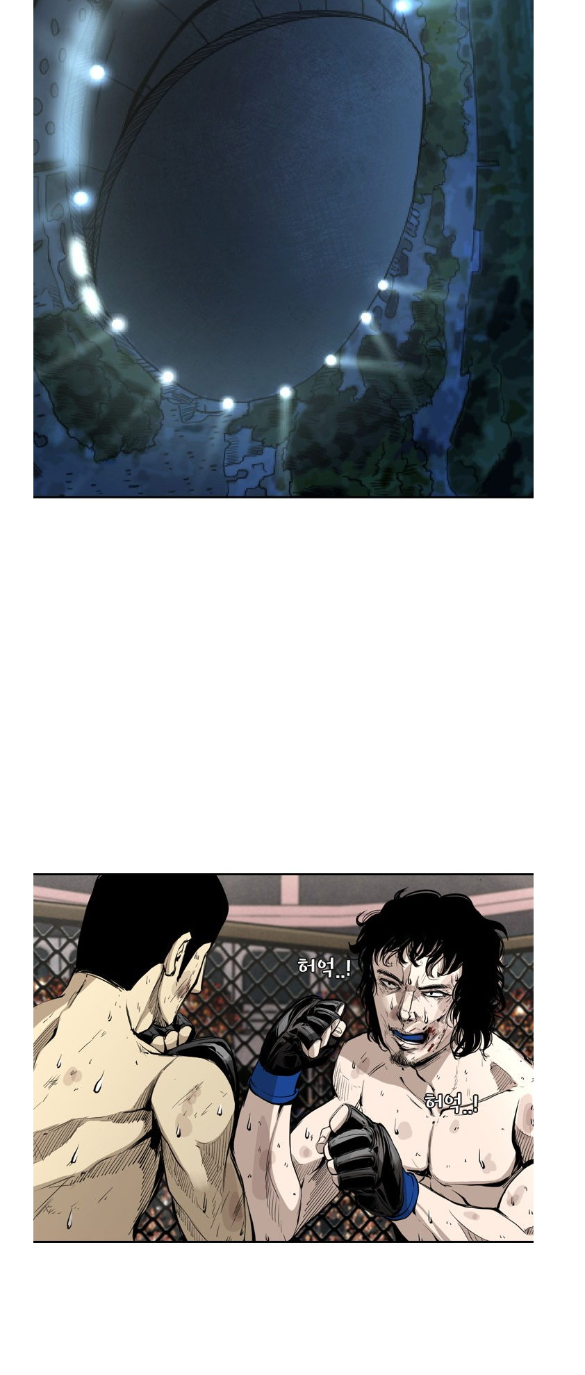 Read Shark Manga Online