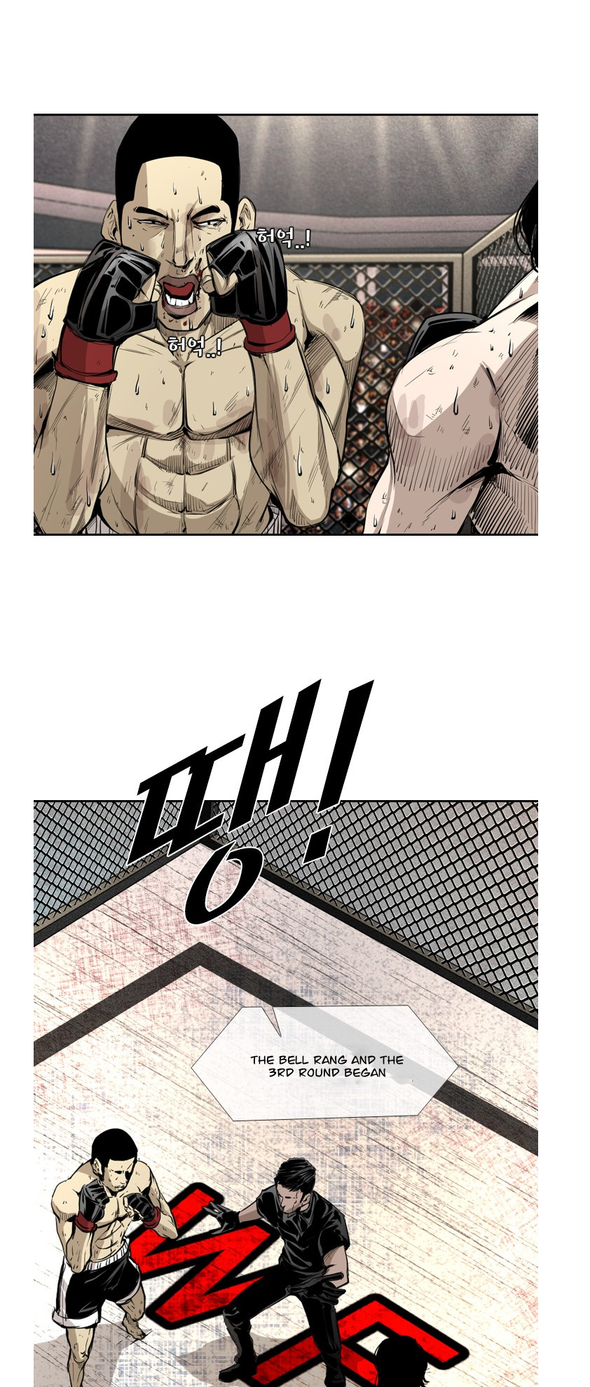 Read Shark Manga Online