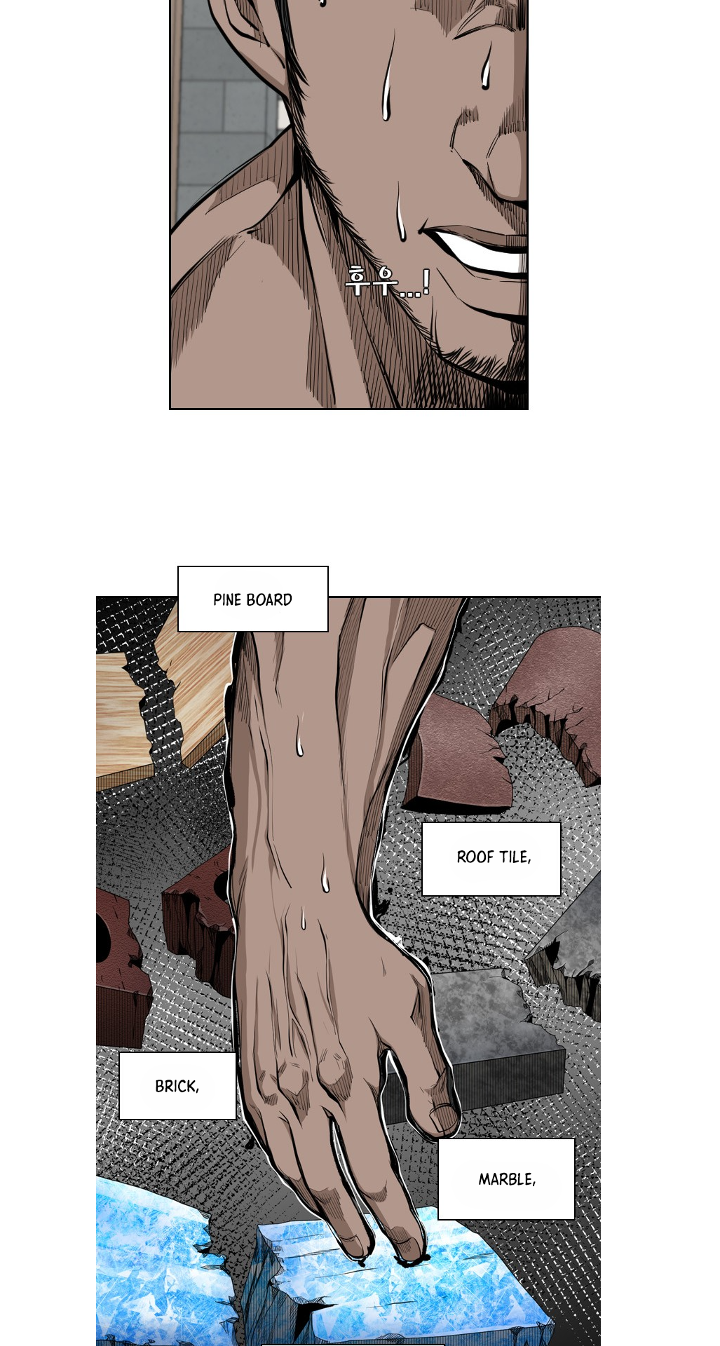 Read Shark Manga Online