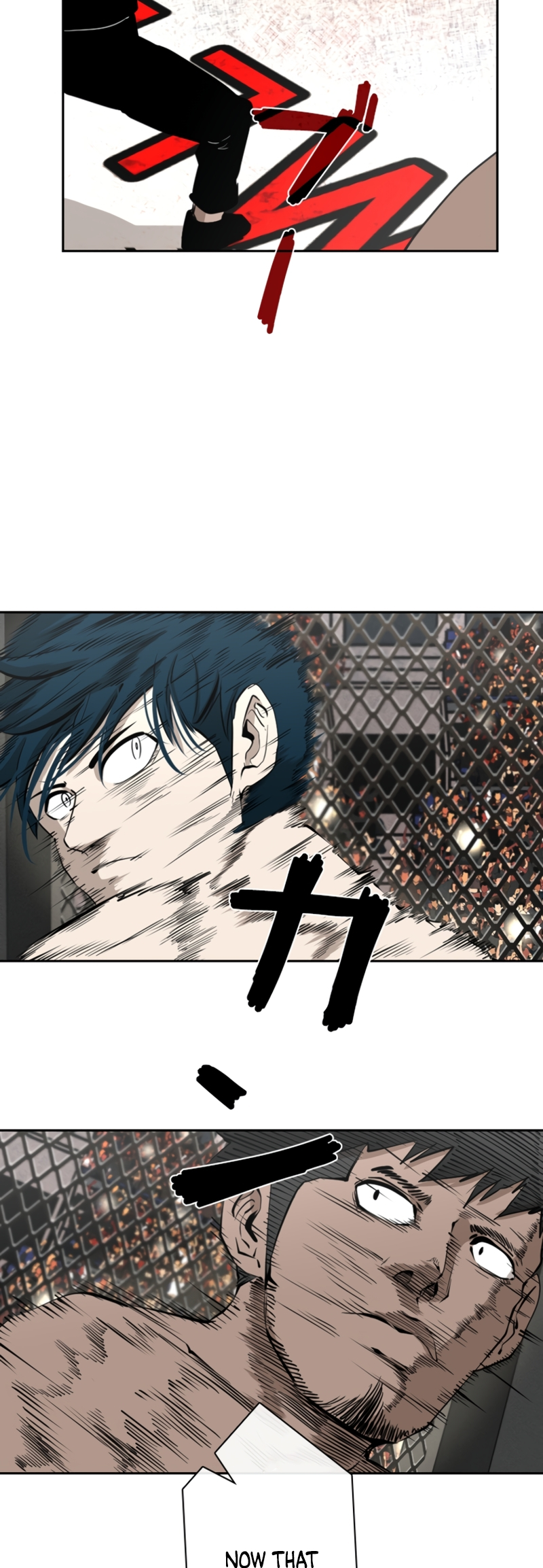 Read Shark Manga Online