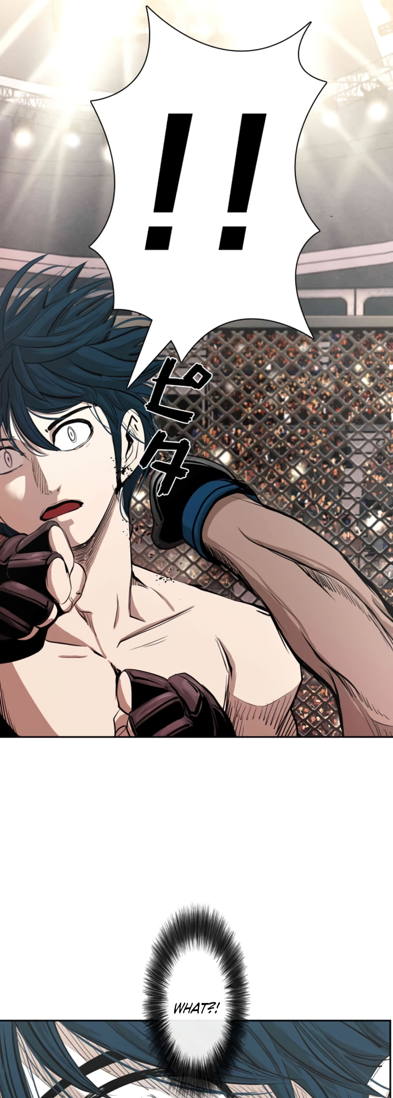 Read Shark Manga Online