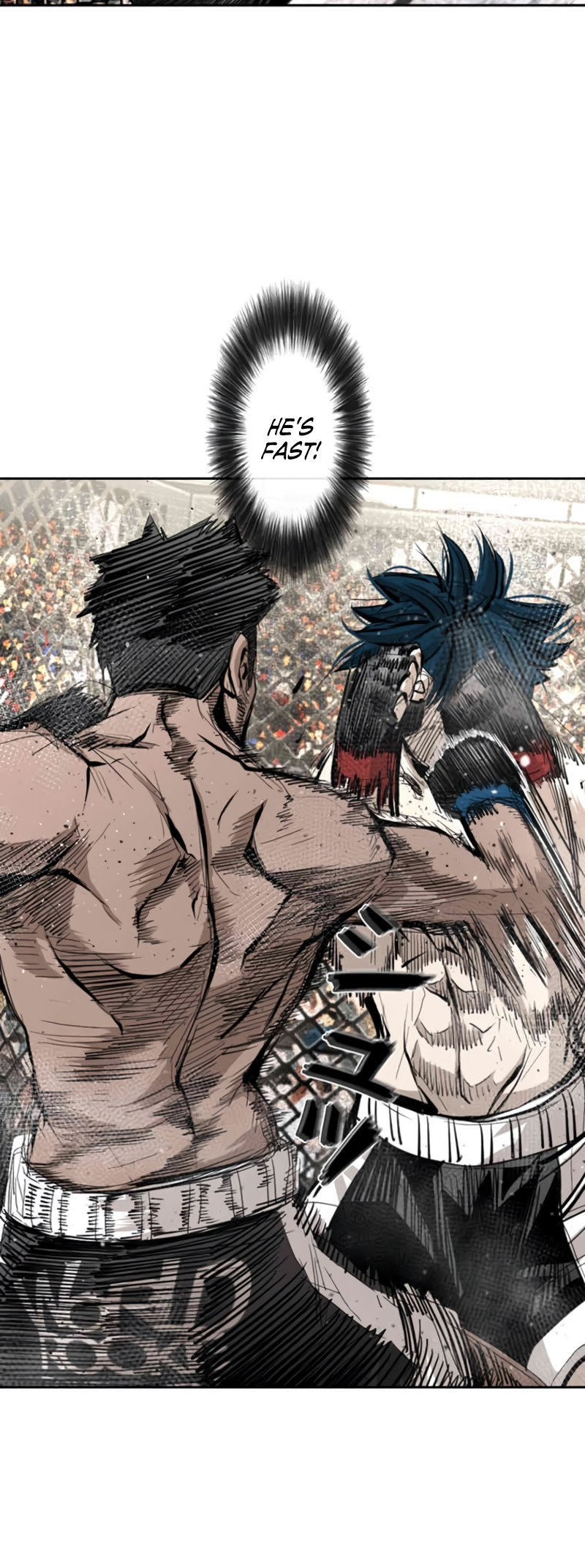 Read Shark Manga Online