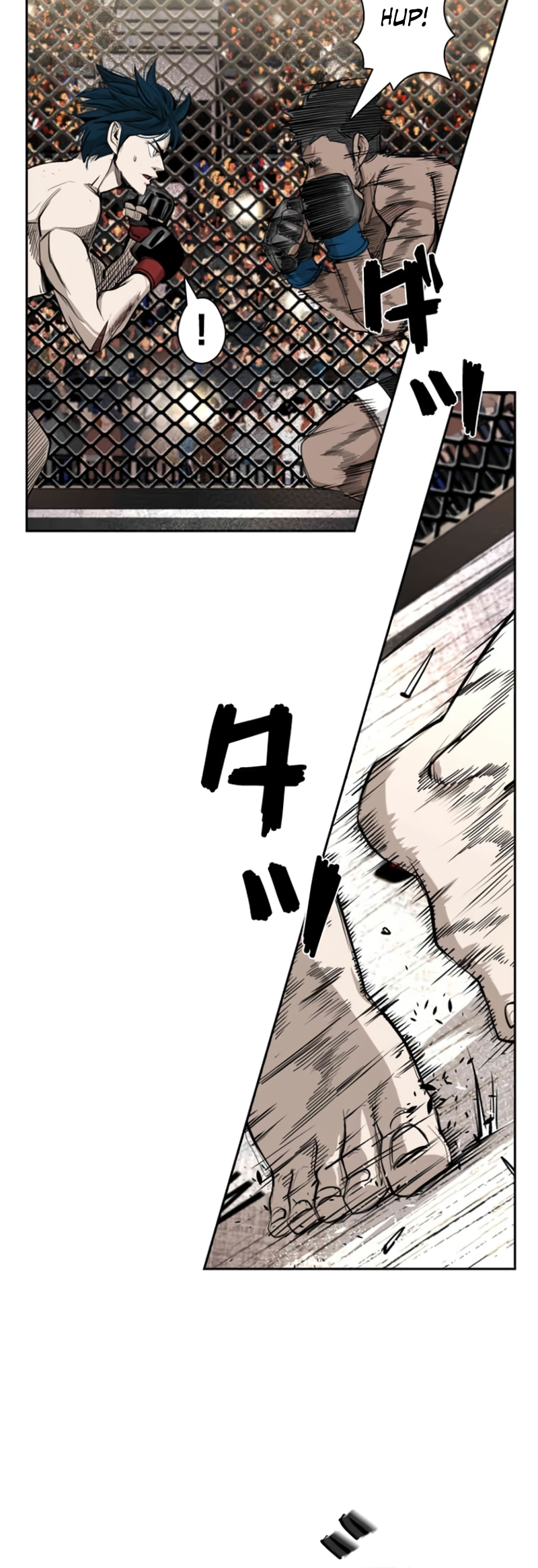 Read Shark Manga Online