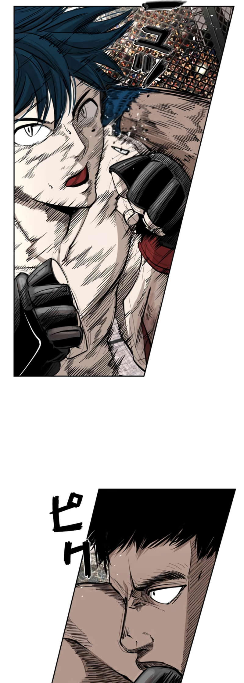 Read Shark Manga Online