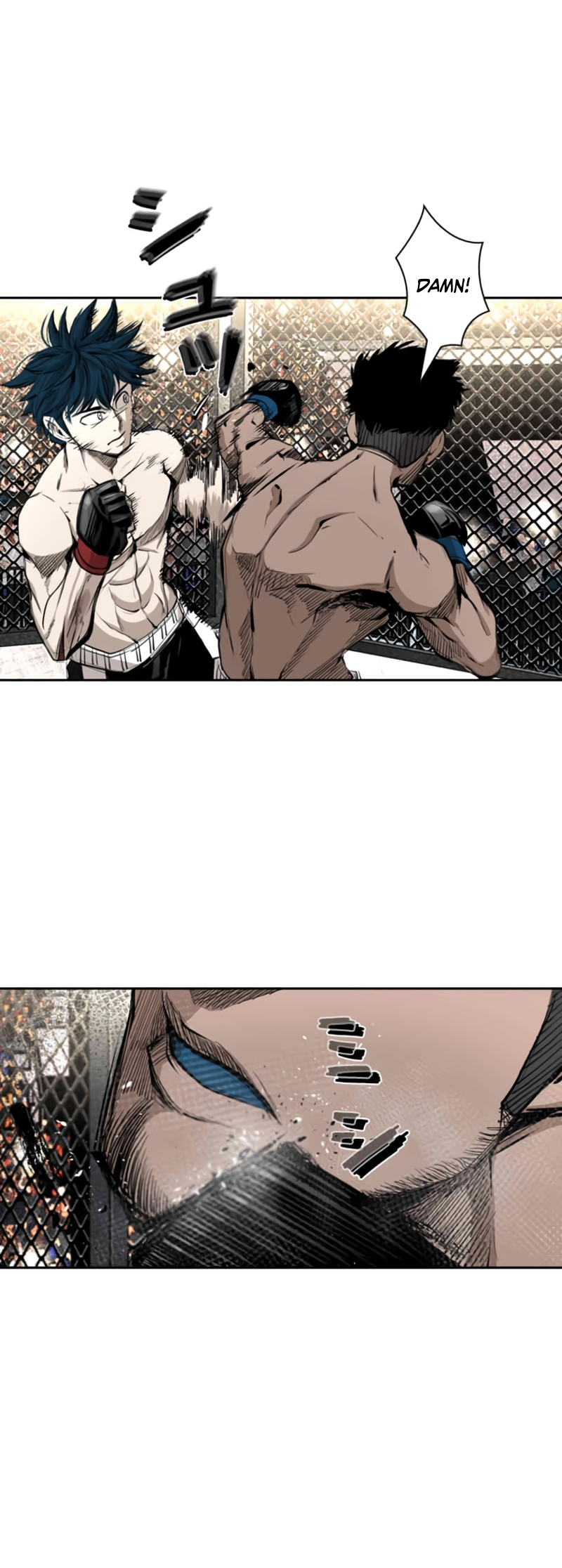 Read Shark Manga Online