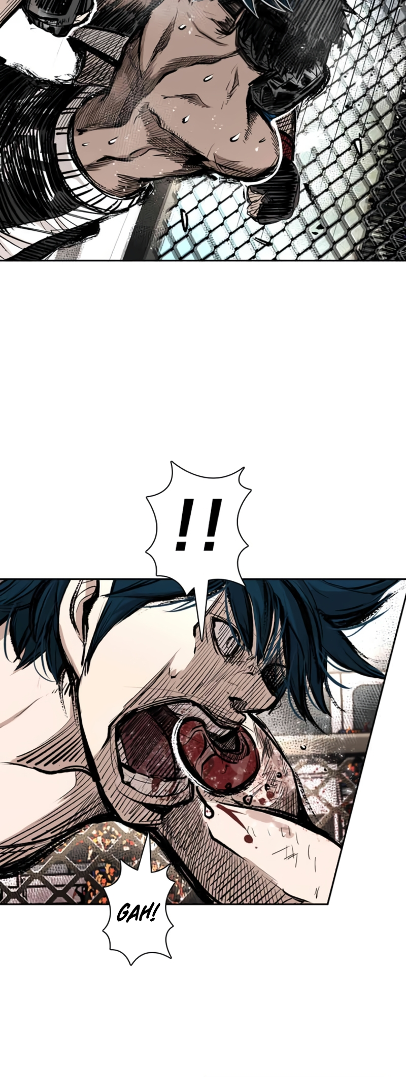 Read Shark Manga Online