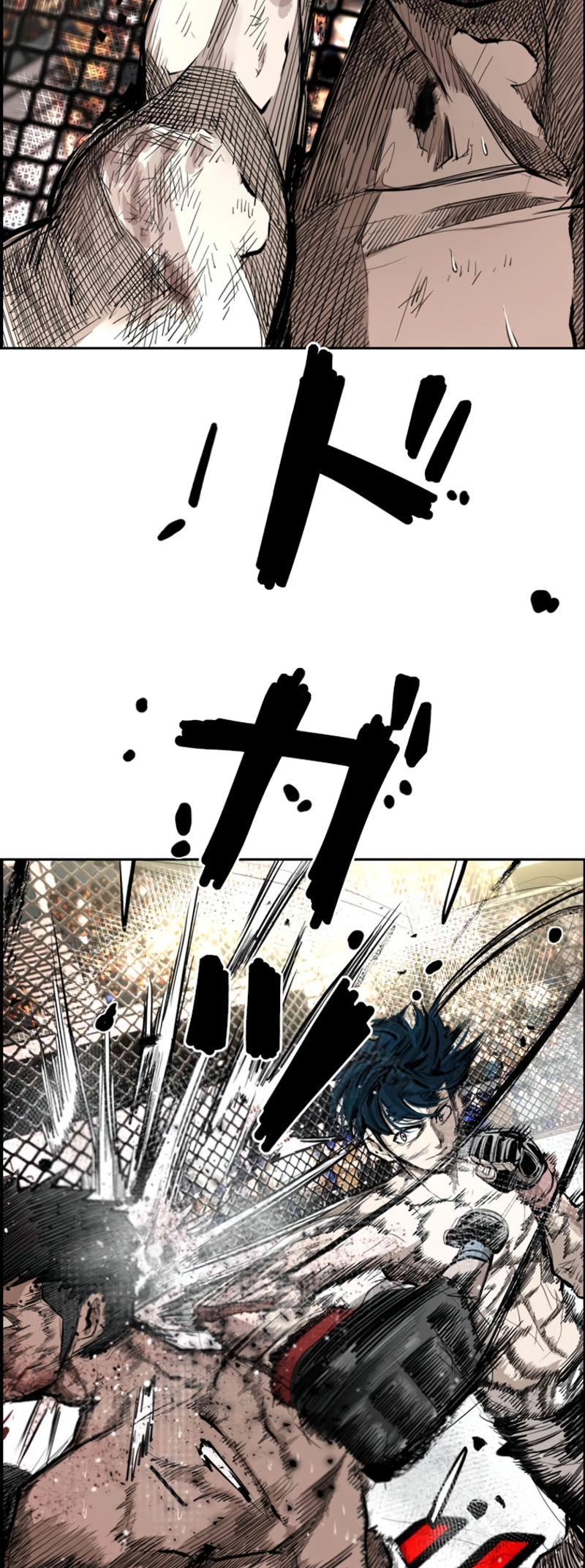 Read Shark Manga Online