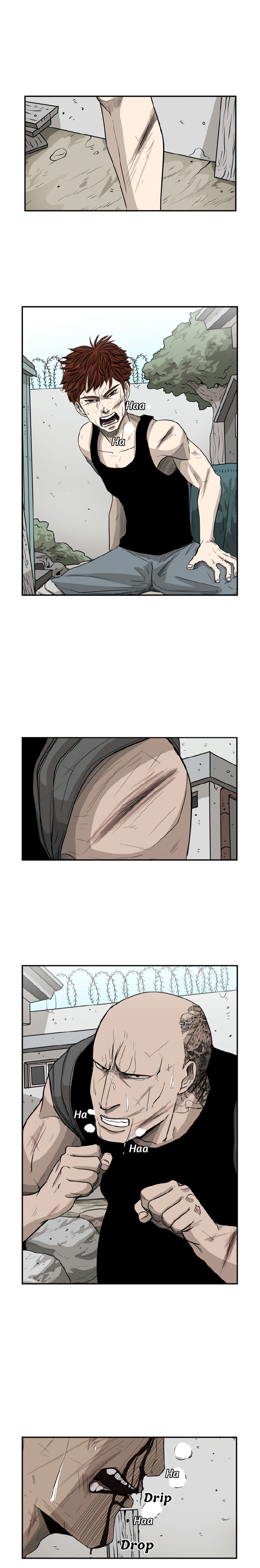 Read Shark Manga Online