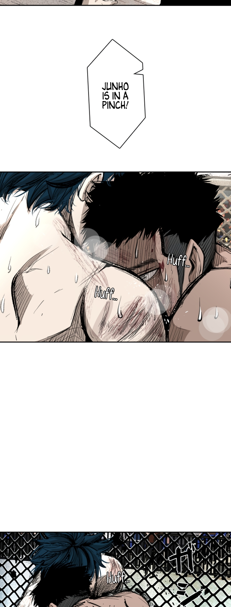 Read Shark Manga Online