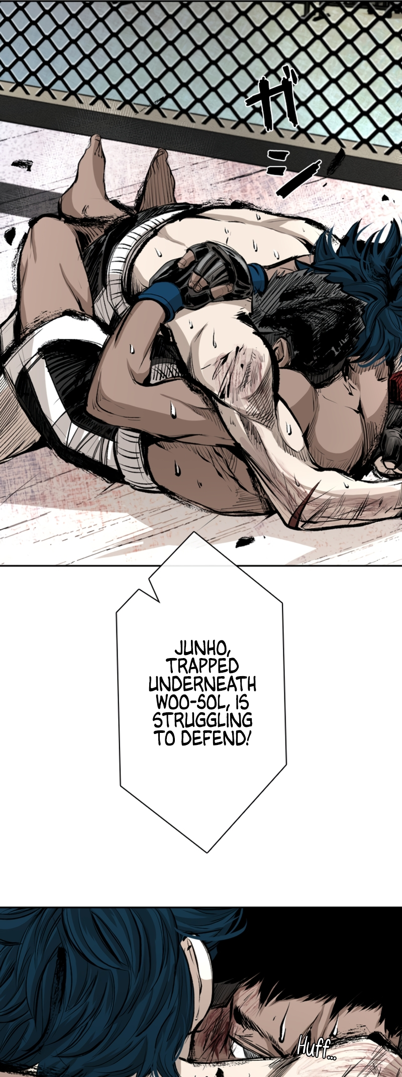 Read Shark Manga Online