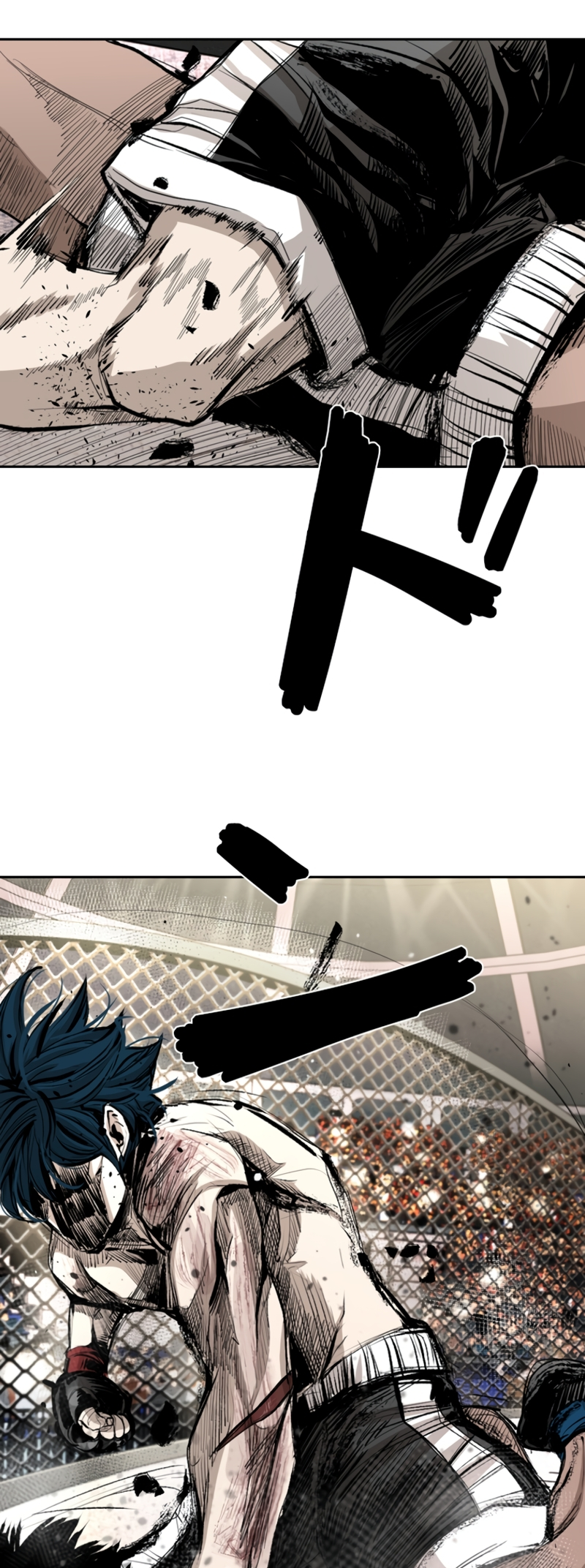 Read Shark Manga Online