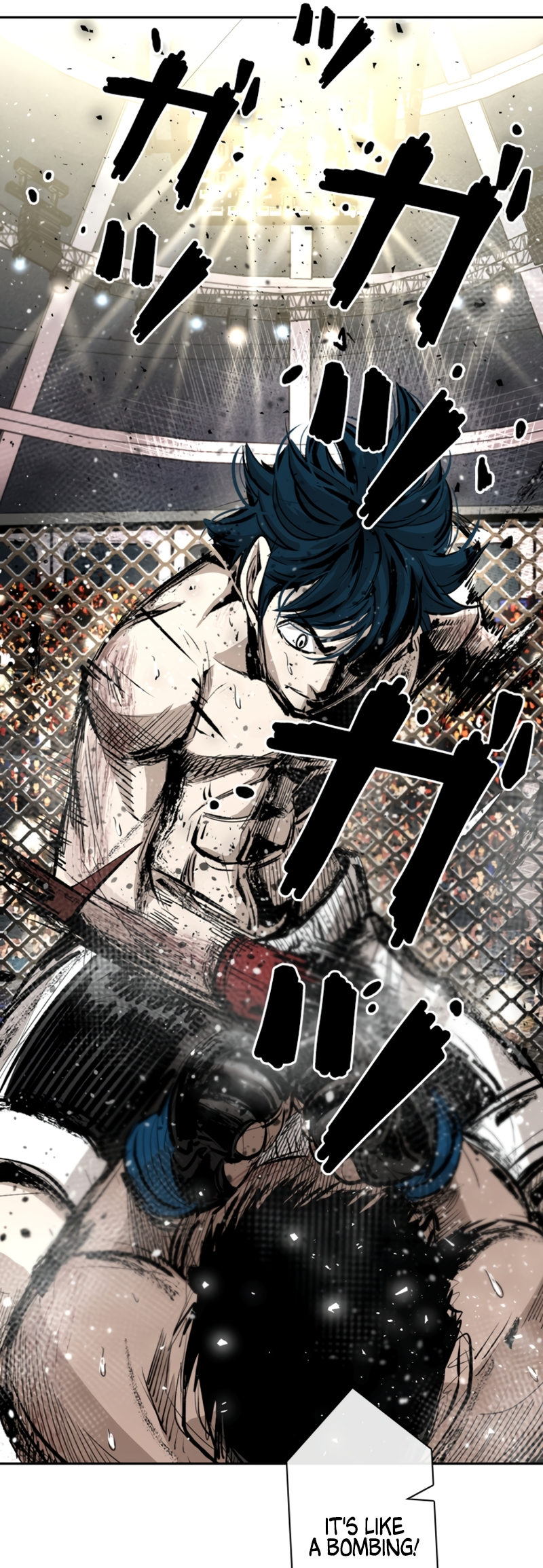 Read Shark Manga Online