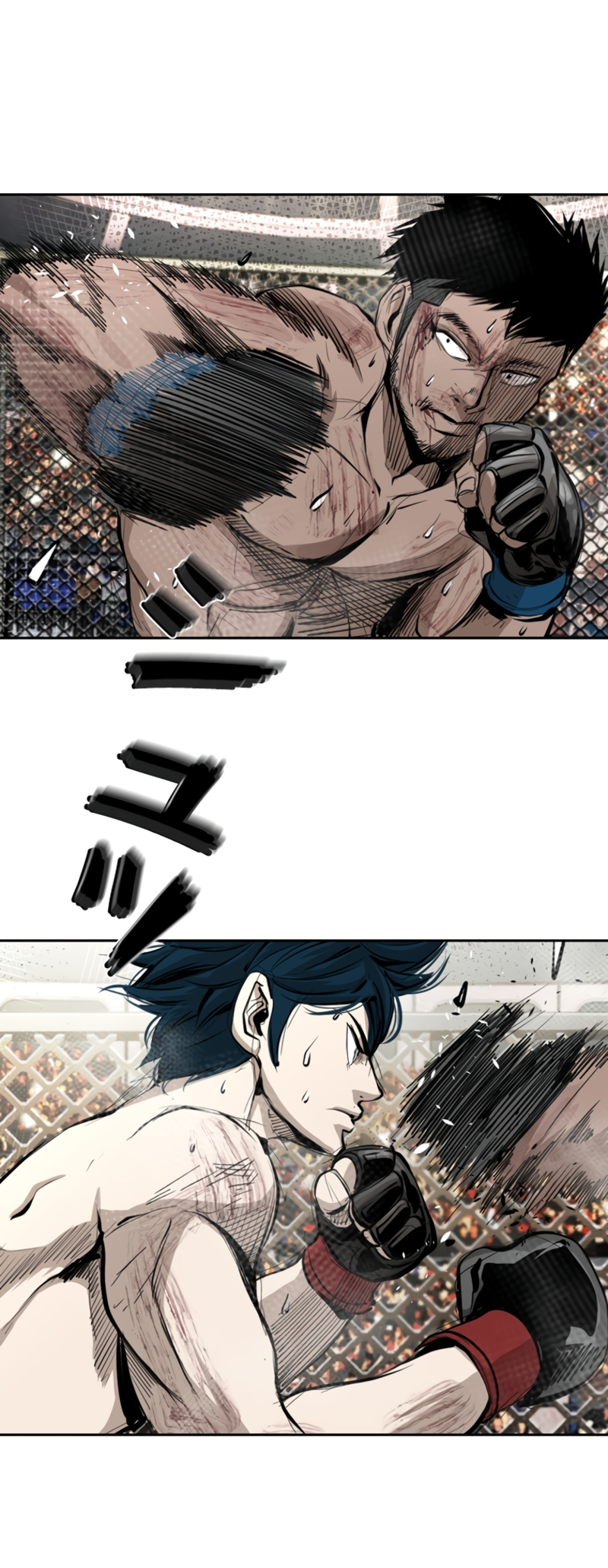 Read Shark Manga Online