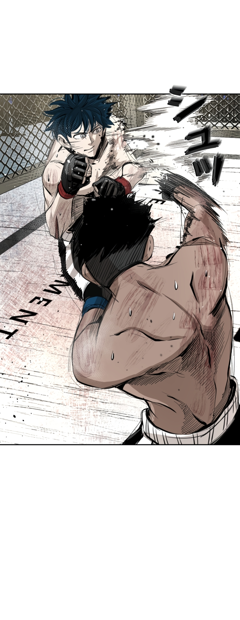 Read Shark Manga Online