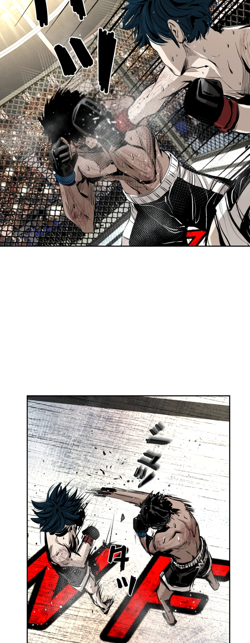 Read Shark Manga Online