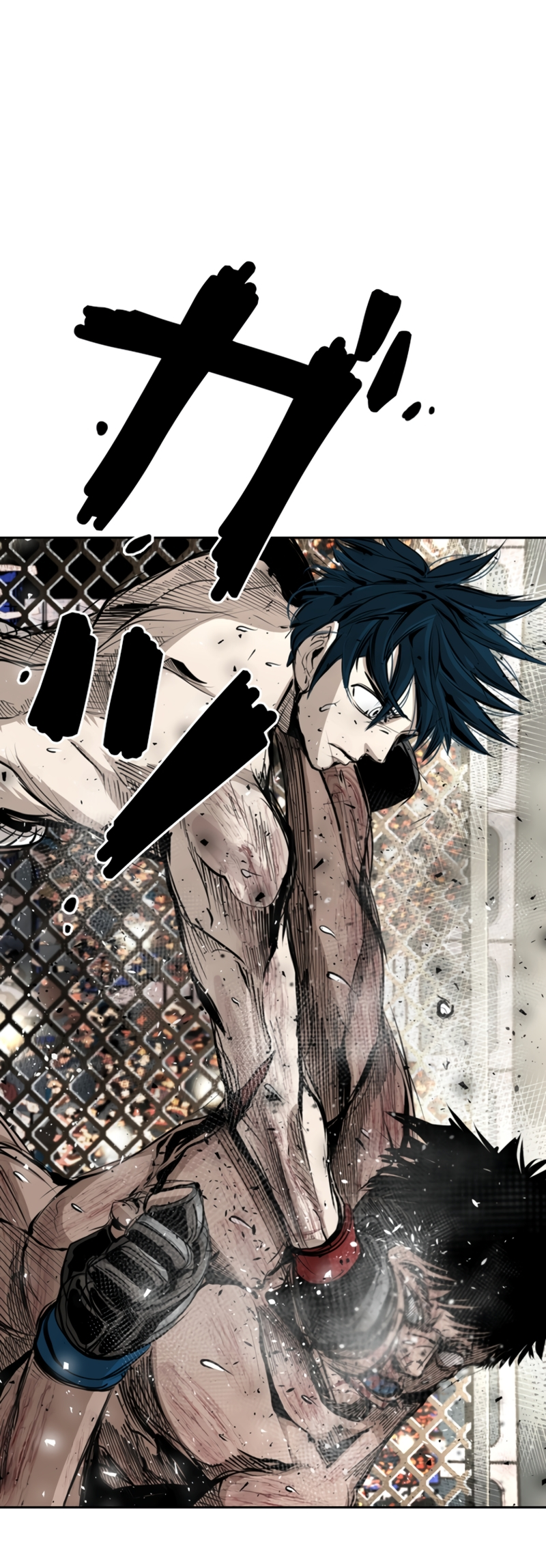 Read Shark Manga Online