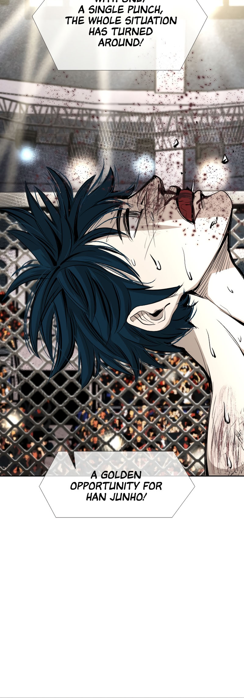 Read Shark Manga Online