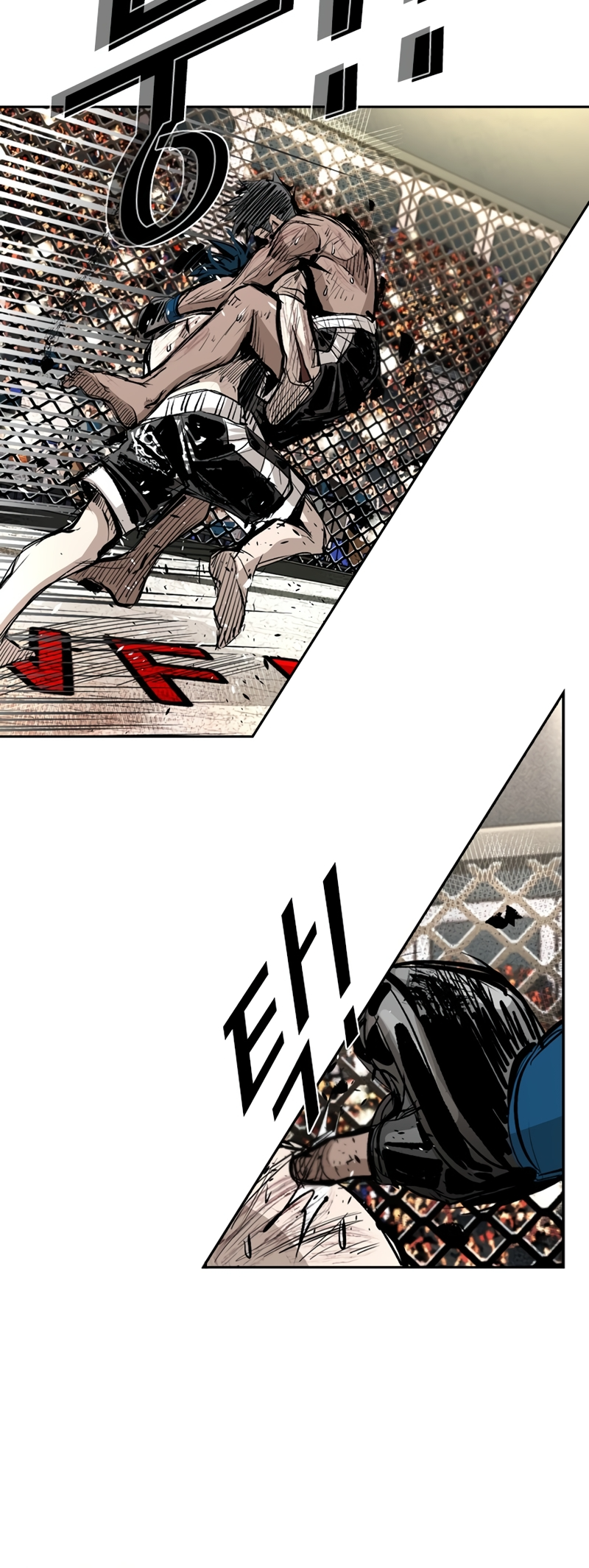 Read Shark Manga Online