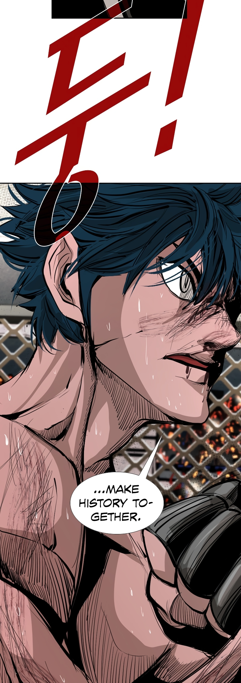 Read Shark Manga Online