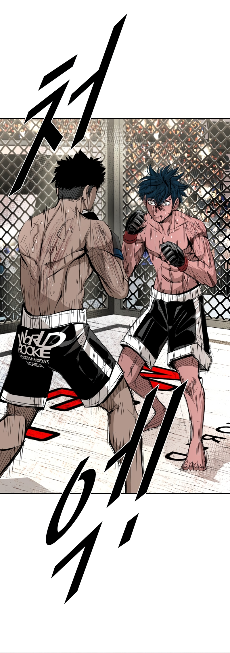 Read Shark Manga Online