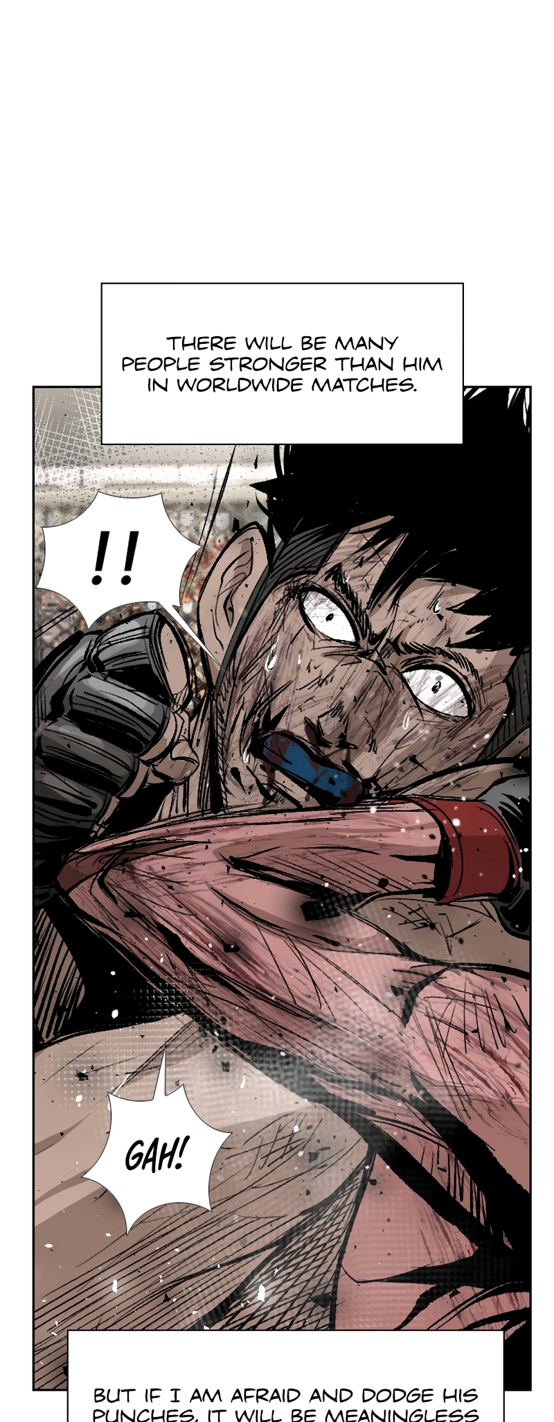 Read Shark Manga Online