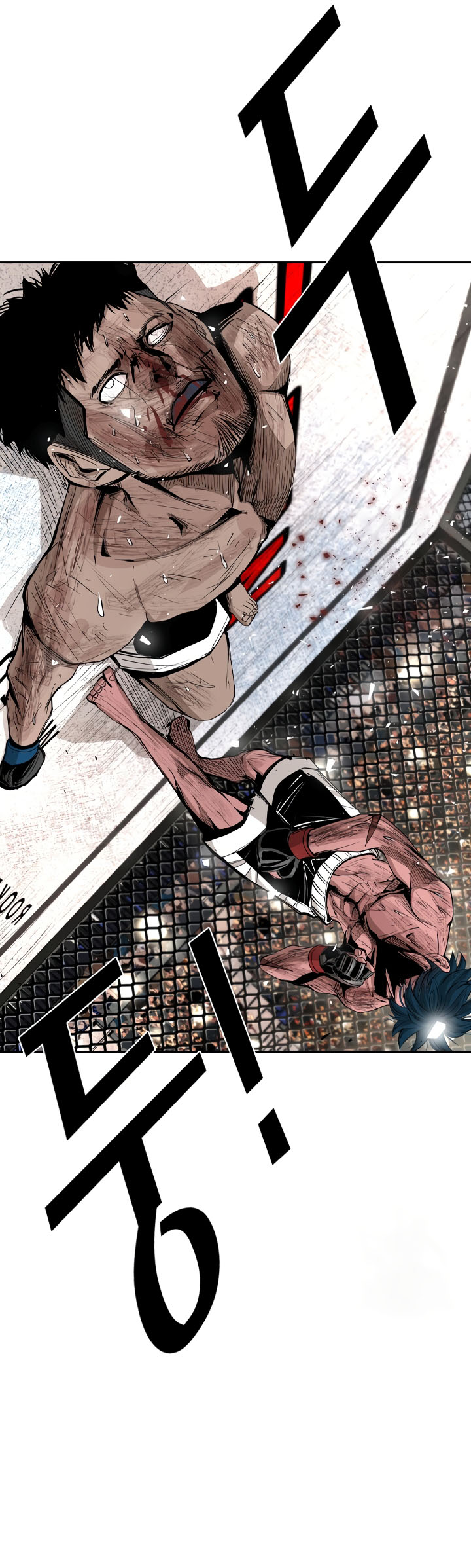 Read Shark Manga Online