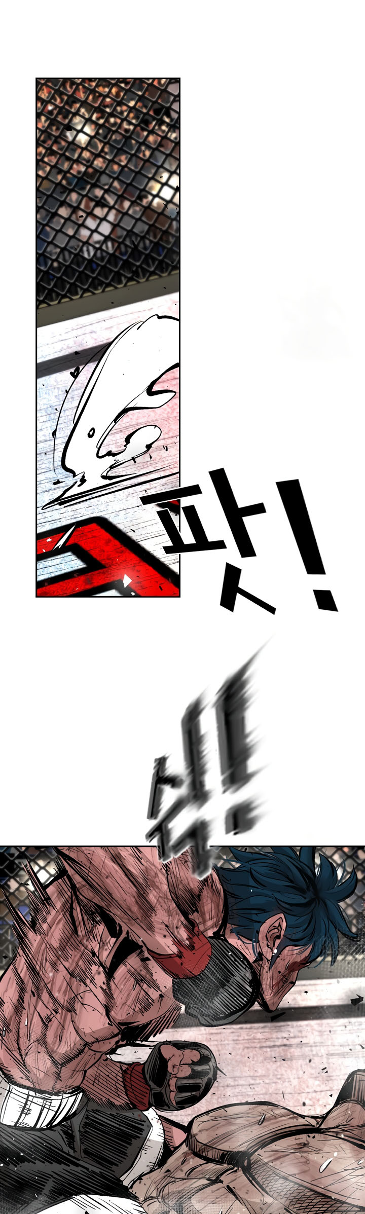 Read Shark Manga Online