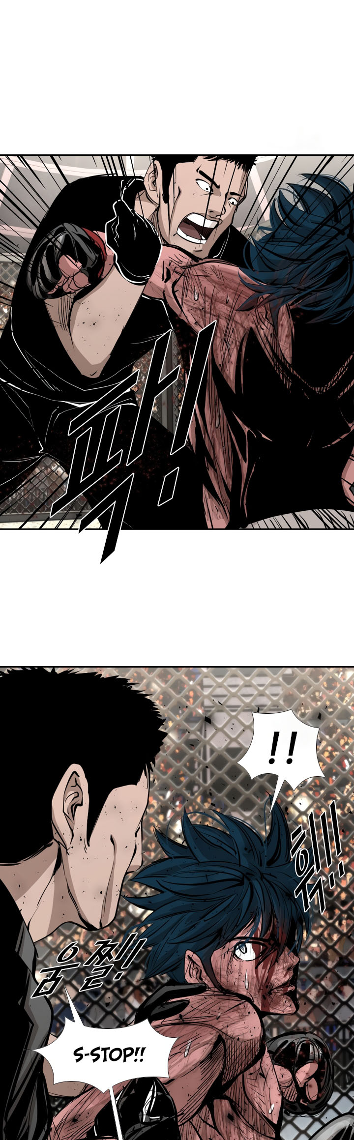 Read Shark Manga Online