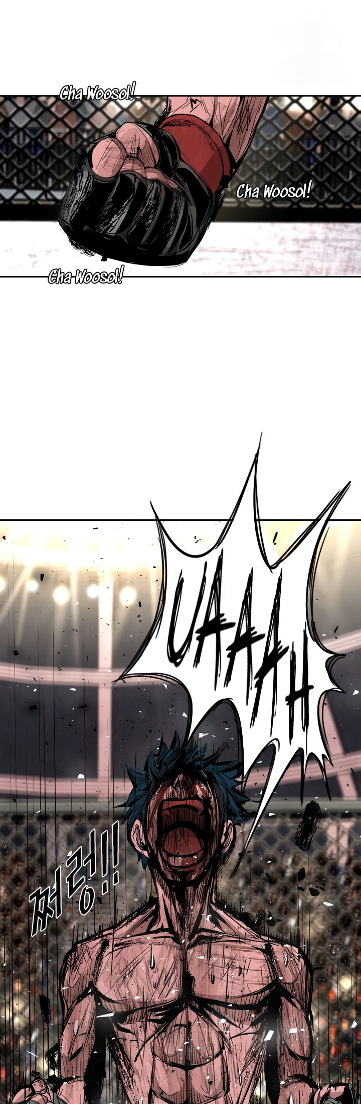 Read Shark Manga Online