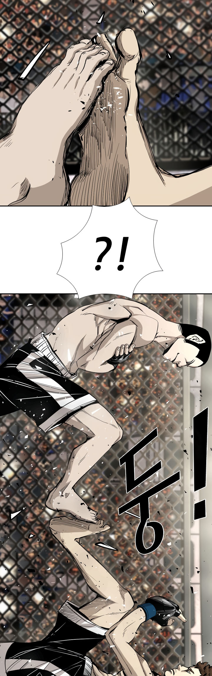 Read Shark Manga Online