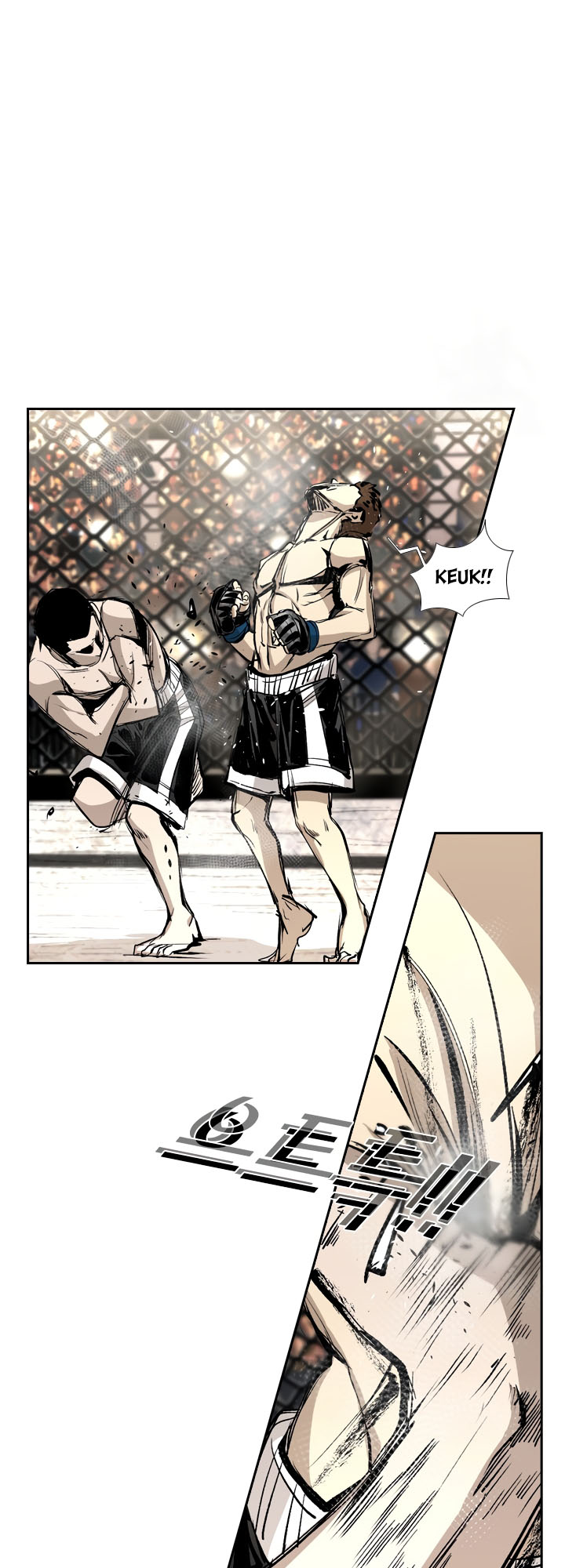 Read Shark Manga Online