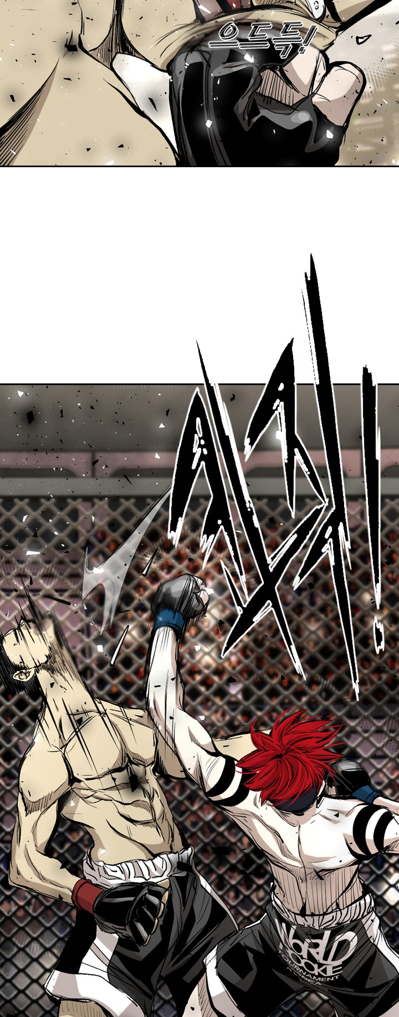 Read Shark Manga Online