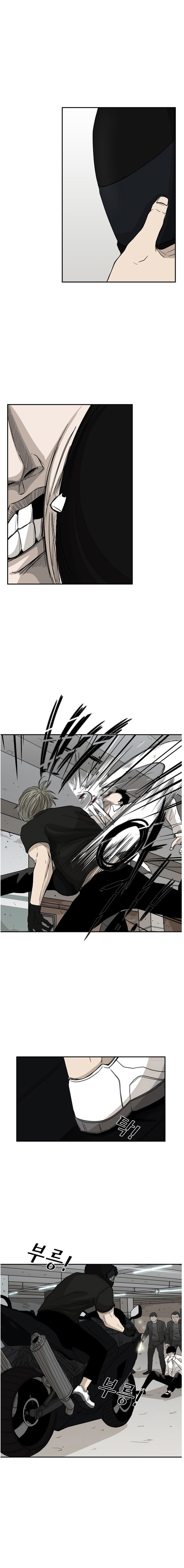 Read Shark Manga Online