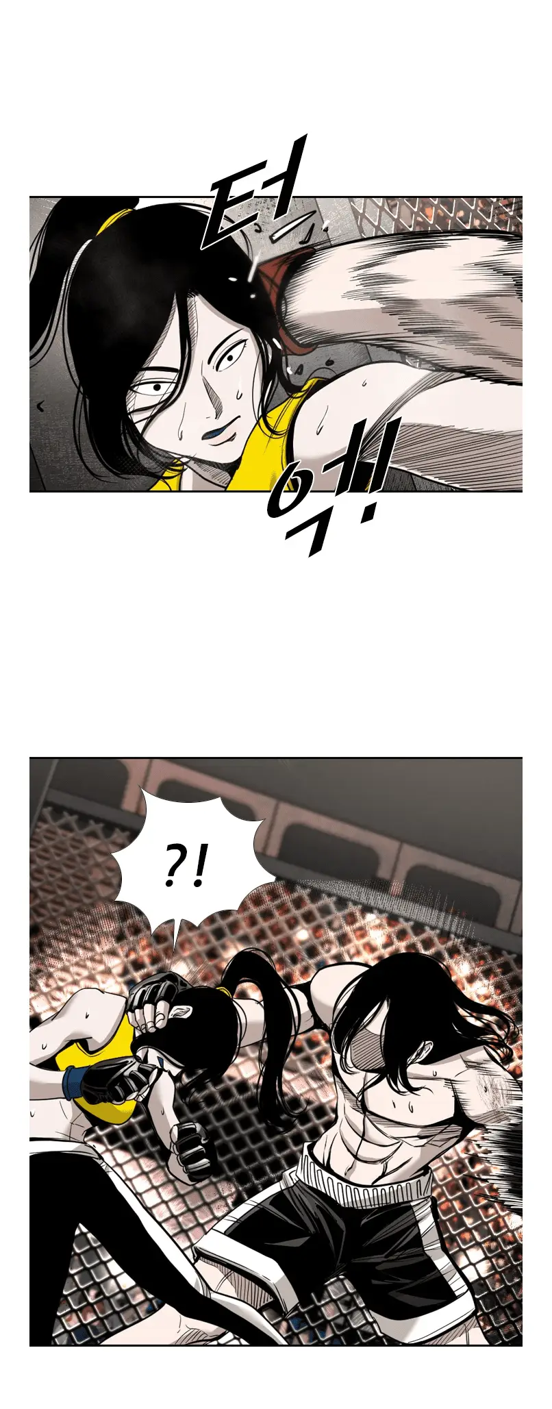 Read Shark Manga Online