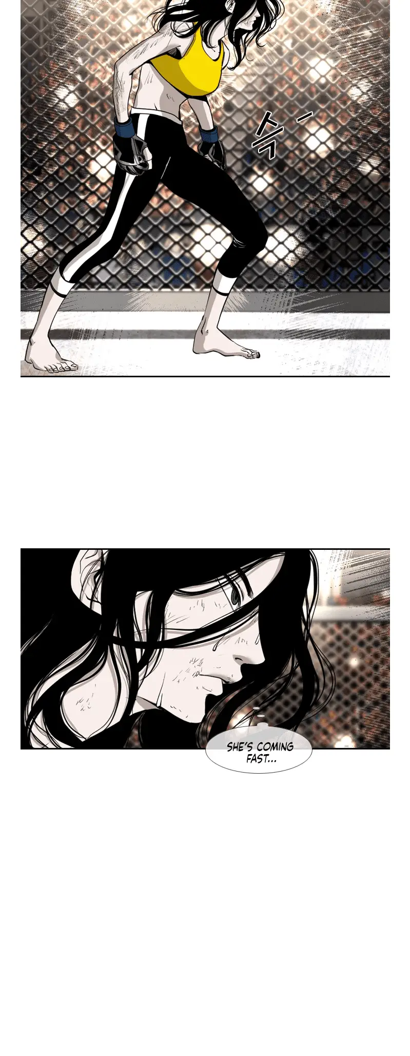 Read Shark Manga Online