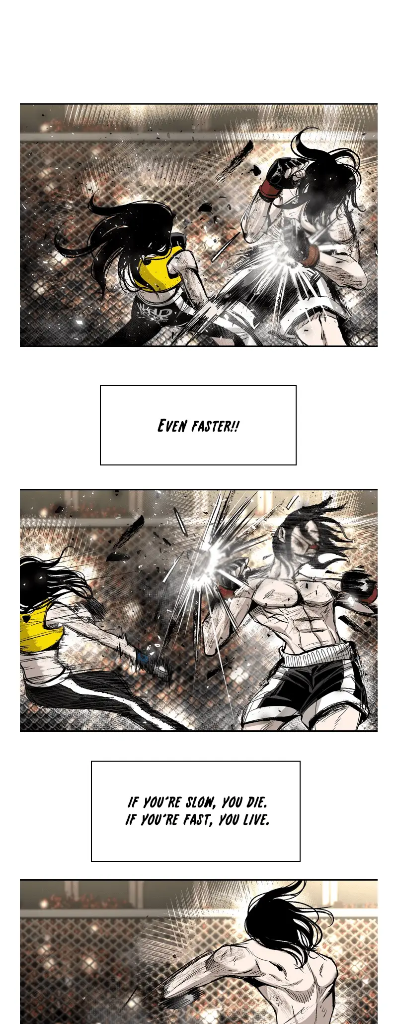 Read Shark Manga Online