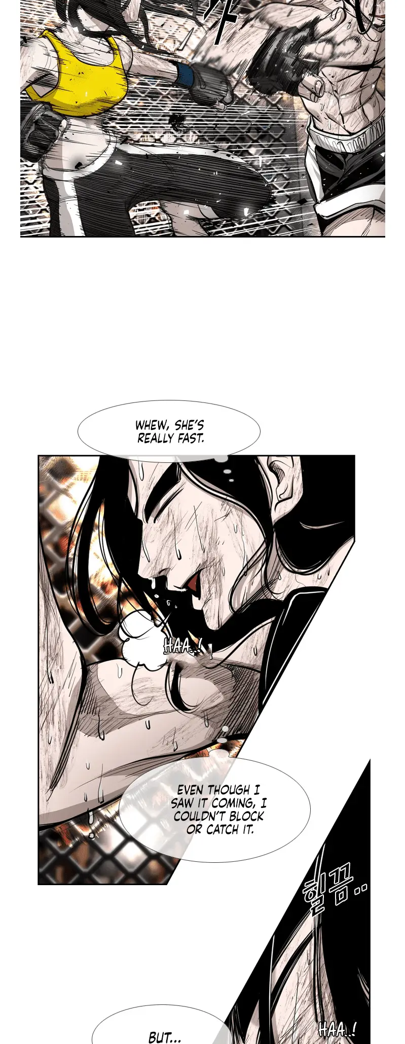 Read Shark Manga Online