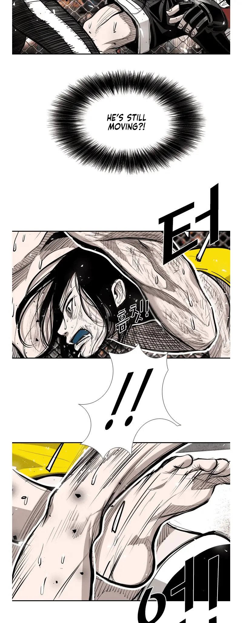 Read Shark Manga Online