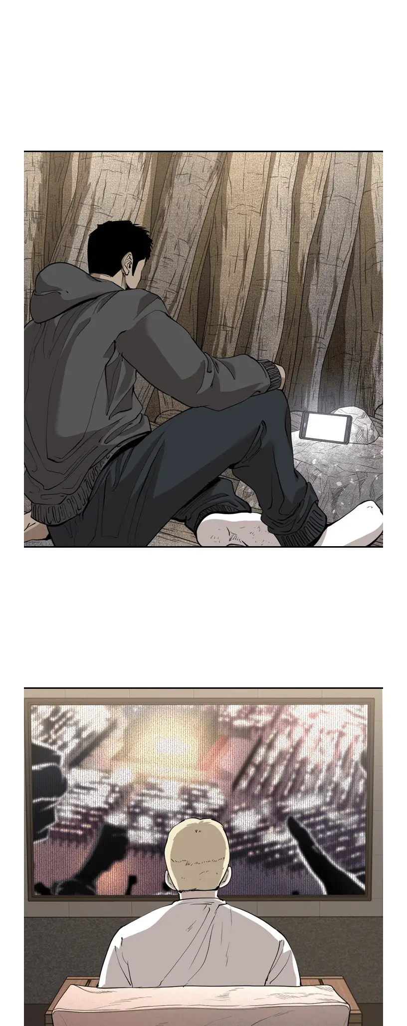 Read Shark Manga Online