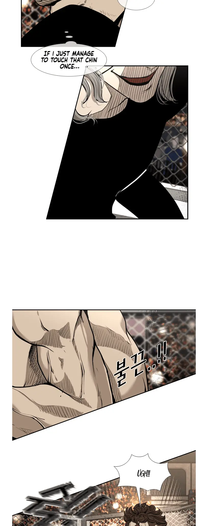 Read Shark Manga Online