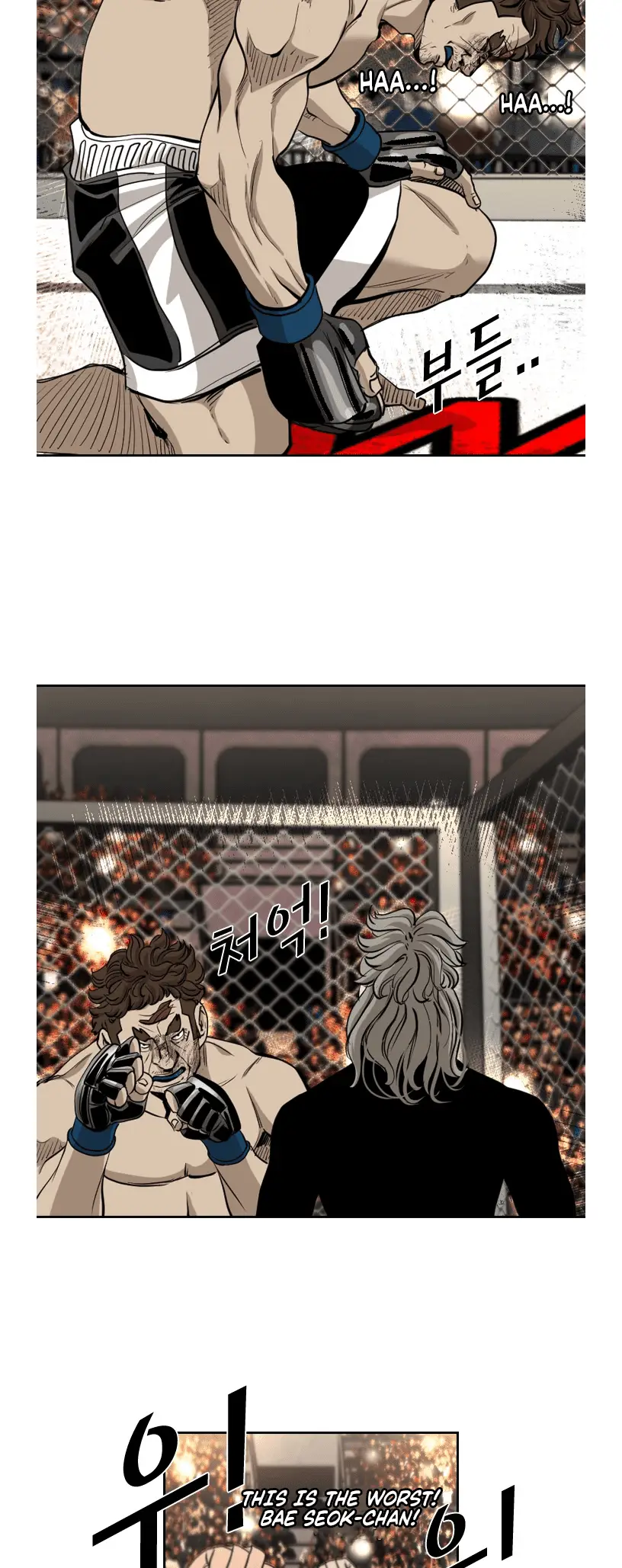 Read Shark Manga Online