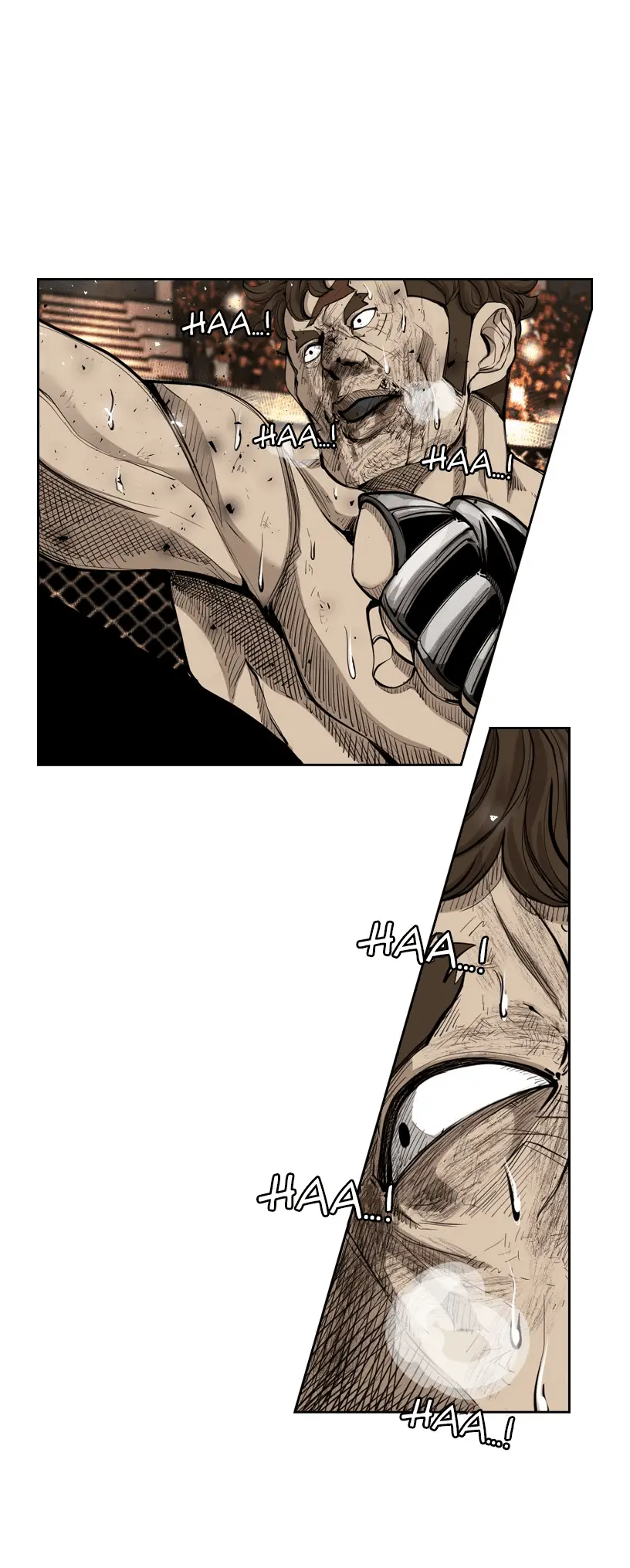 Read Shark Manga Online