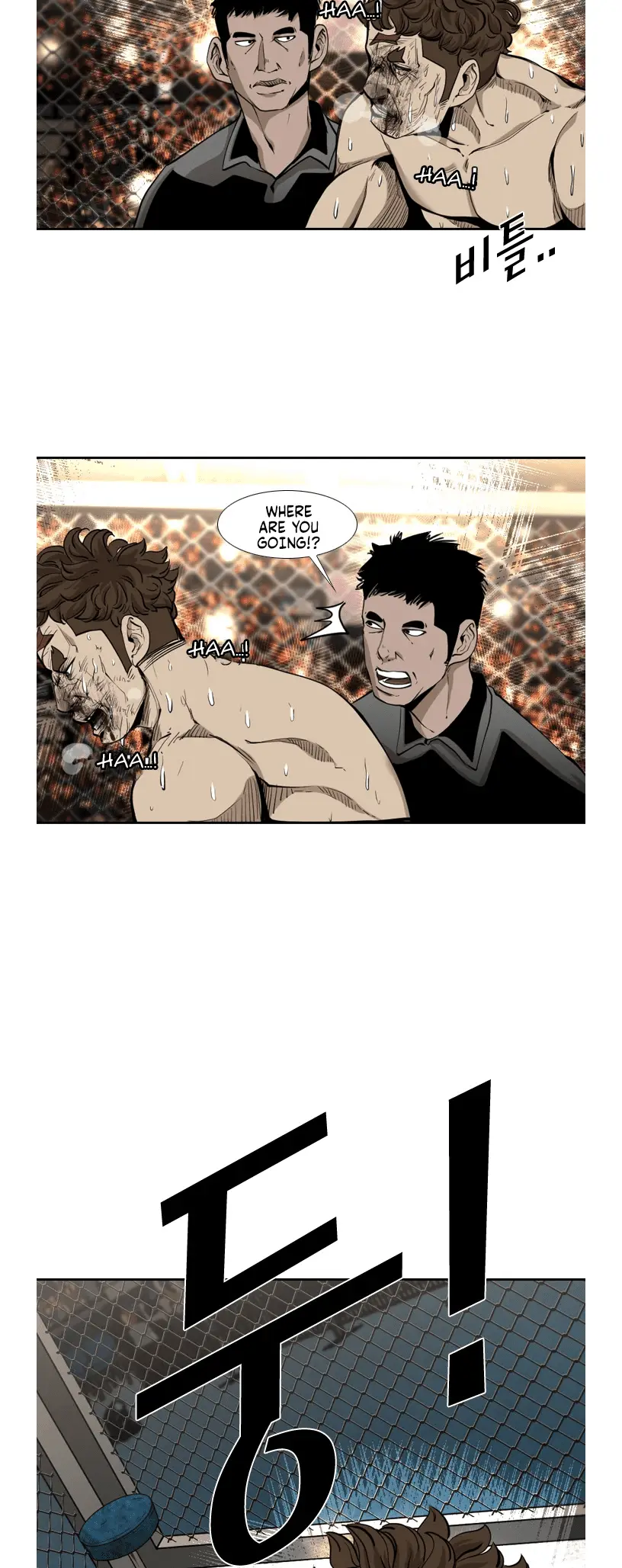 Read Shark Manga Online