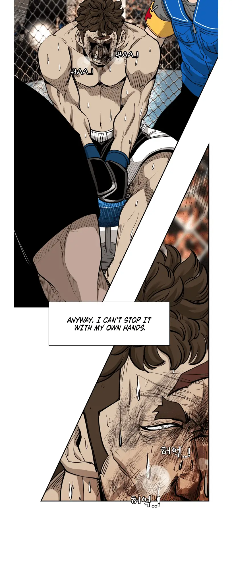 Read Shark Manga Online