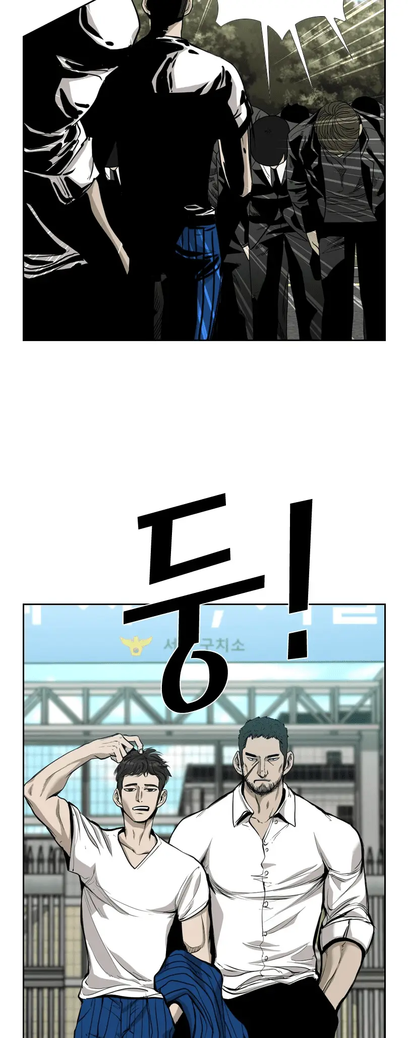 Read Shark Manga Online