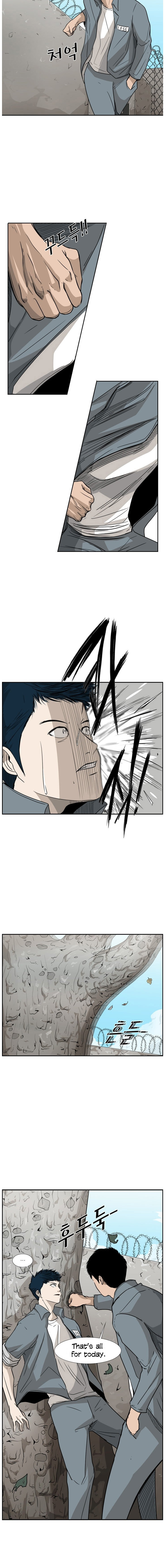 Read Shark Manga Online